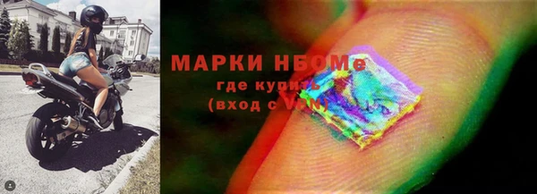apvp Алзамай