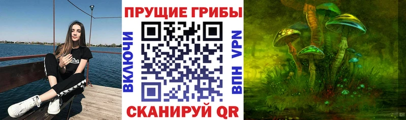 Псилоцибиновые грибы Psilocybe  Купить где  Тбилисская 