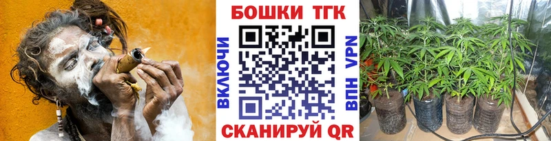 Купить  Тбилисская  Канабис семена 